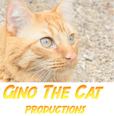 Here's an alt tag for the image: Gino the Cat Productions logo.